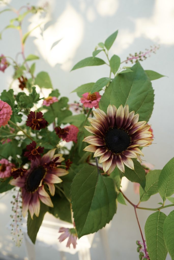Zoom sur composition de fleurs d'été