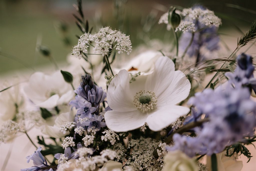 zoom sur fleurs printanier