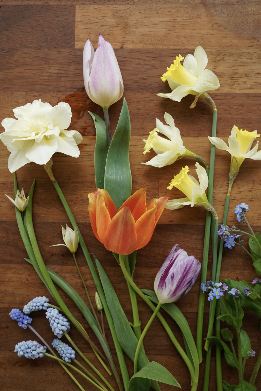 fleurs sur table